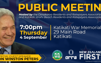 Public Meeting on Council Maori Wards